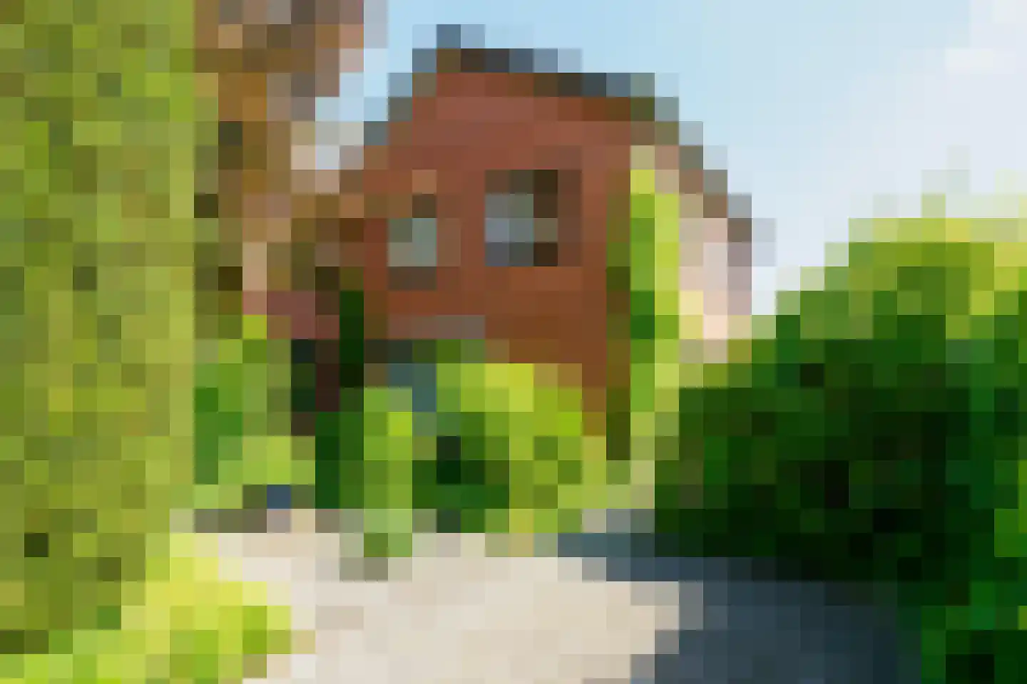 Kerkstraat 13 Vriezenveen thumbnail 8