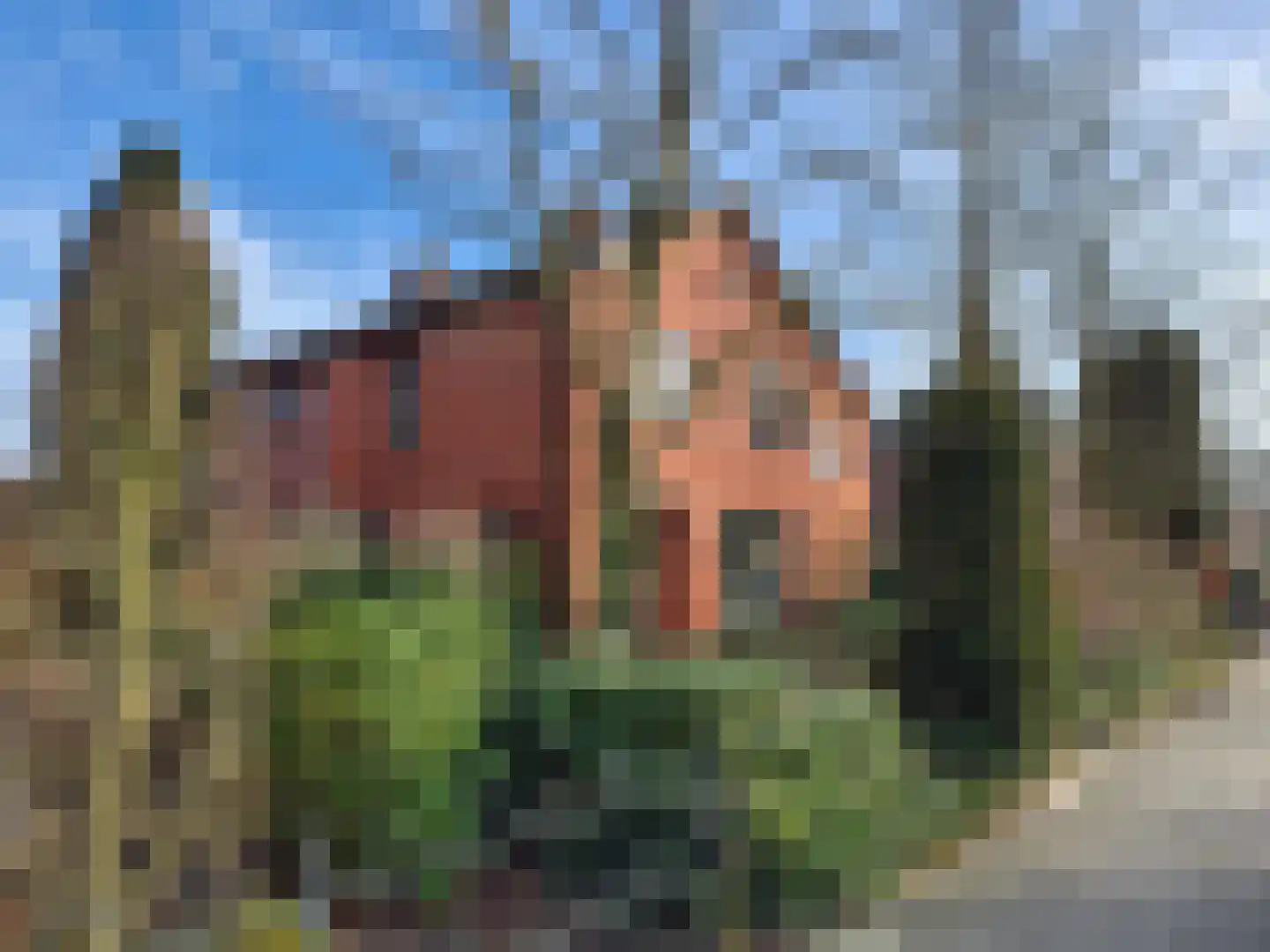 Kerkstraat 13 Vriezenveen thumbnail 9