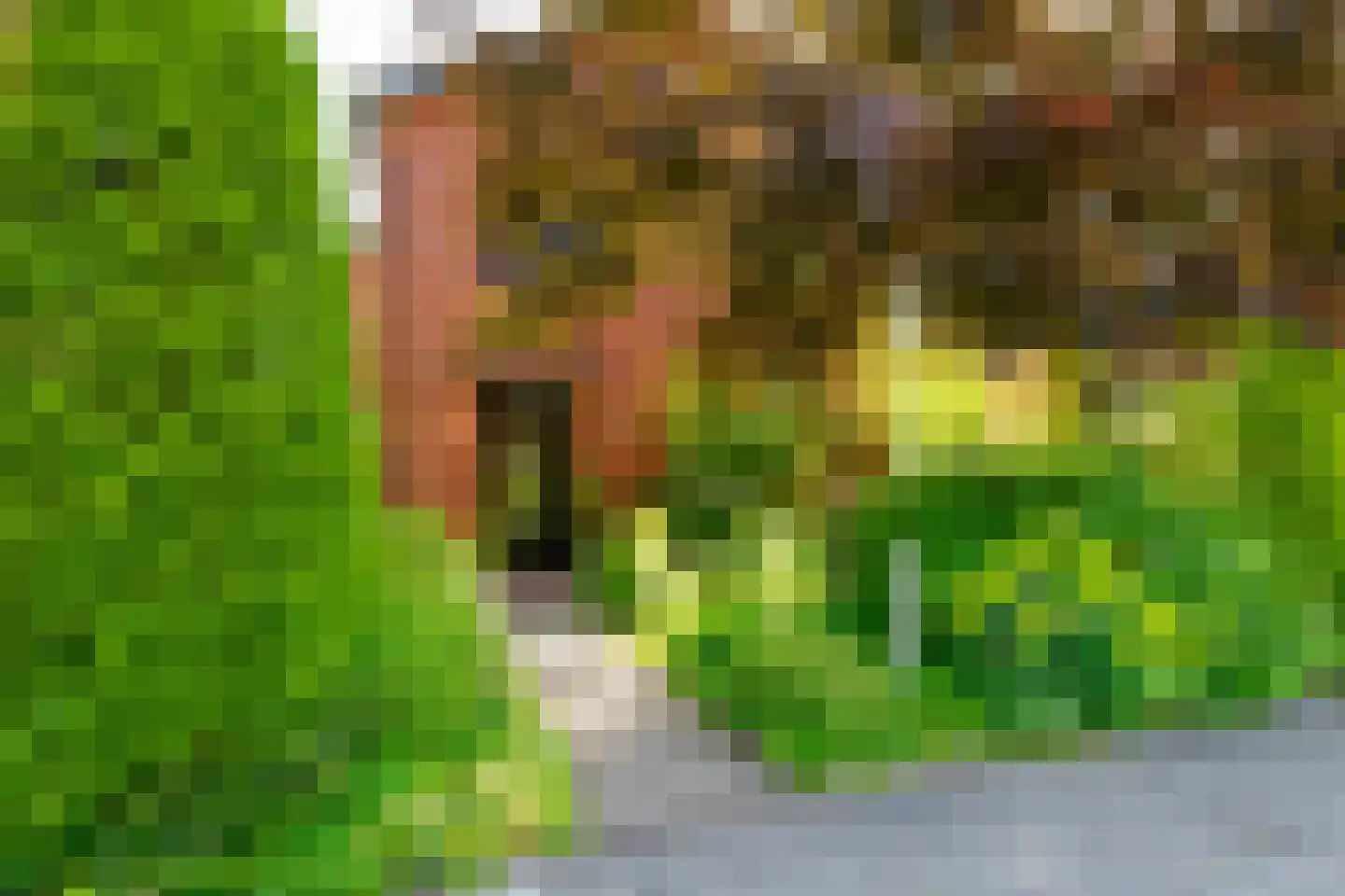 Kerkstraat 13 Vriezenveen thumbnail 9