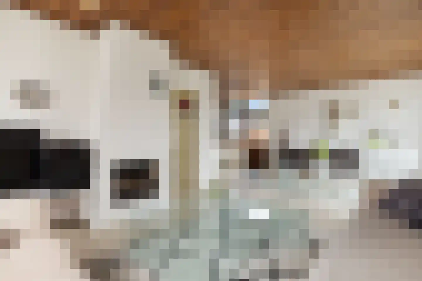 Kerkstraat 130 Oostzaan thumbnail 5