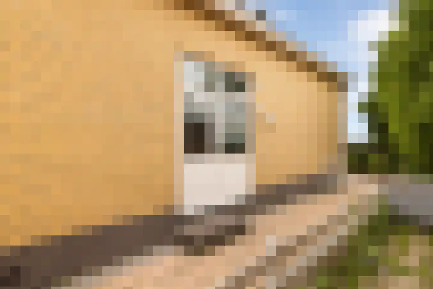 Kerkstraat 130 Oostzaan thumbnail 56