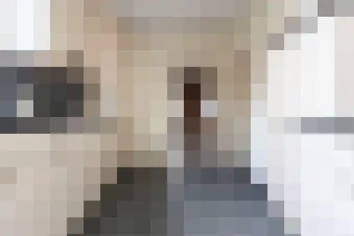 Kerkstraat 138 Weert thumbnail 16