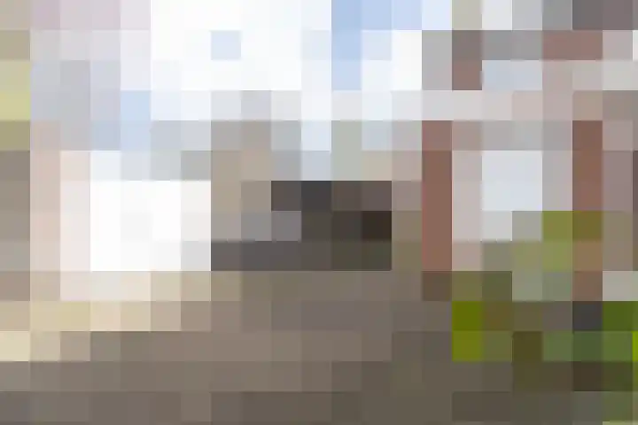 Kerkstraat 138 Weert thumbnail 4
