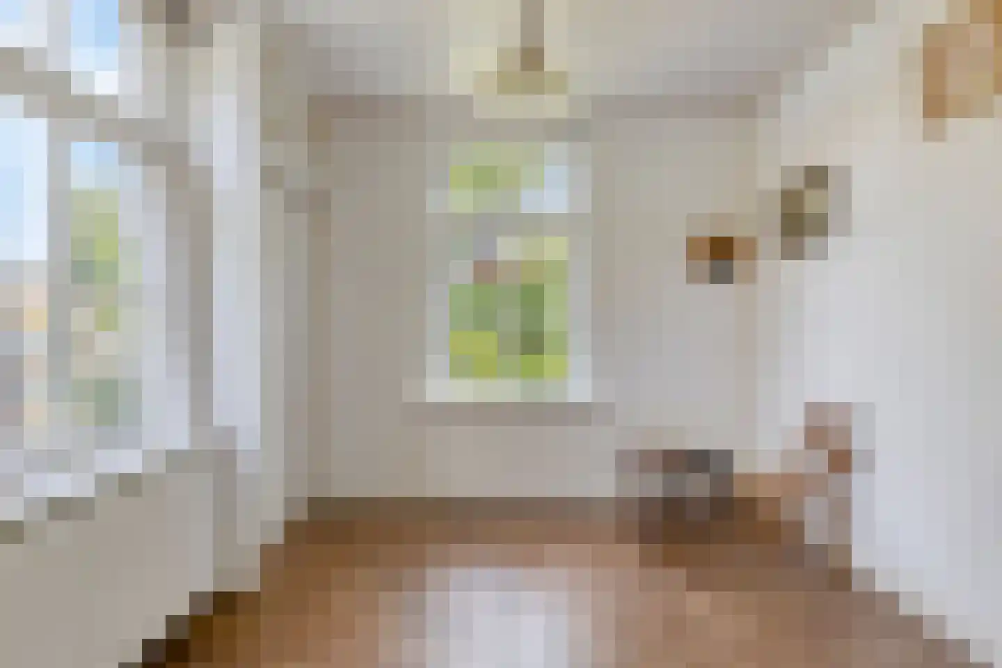 Kerkstraat 14 a Beek en Donk thumbnail 17