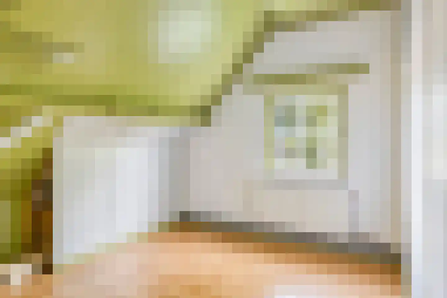 Kerkstraat 14 a Beek en Donk thumbnail 29