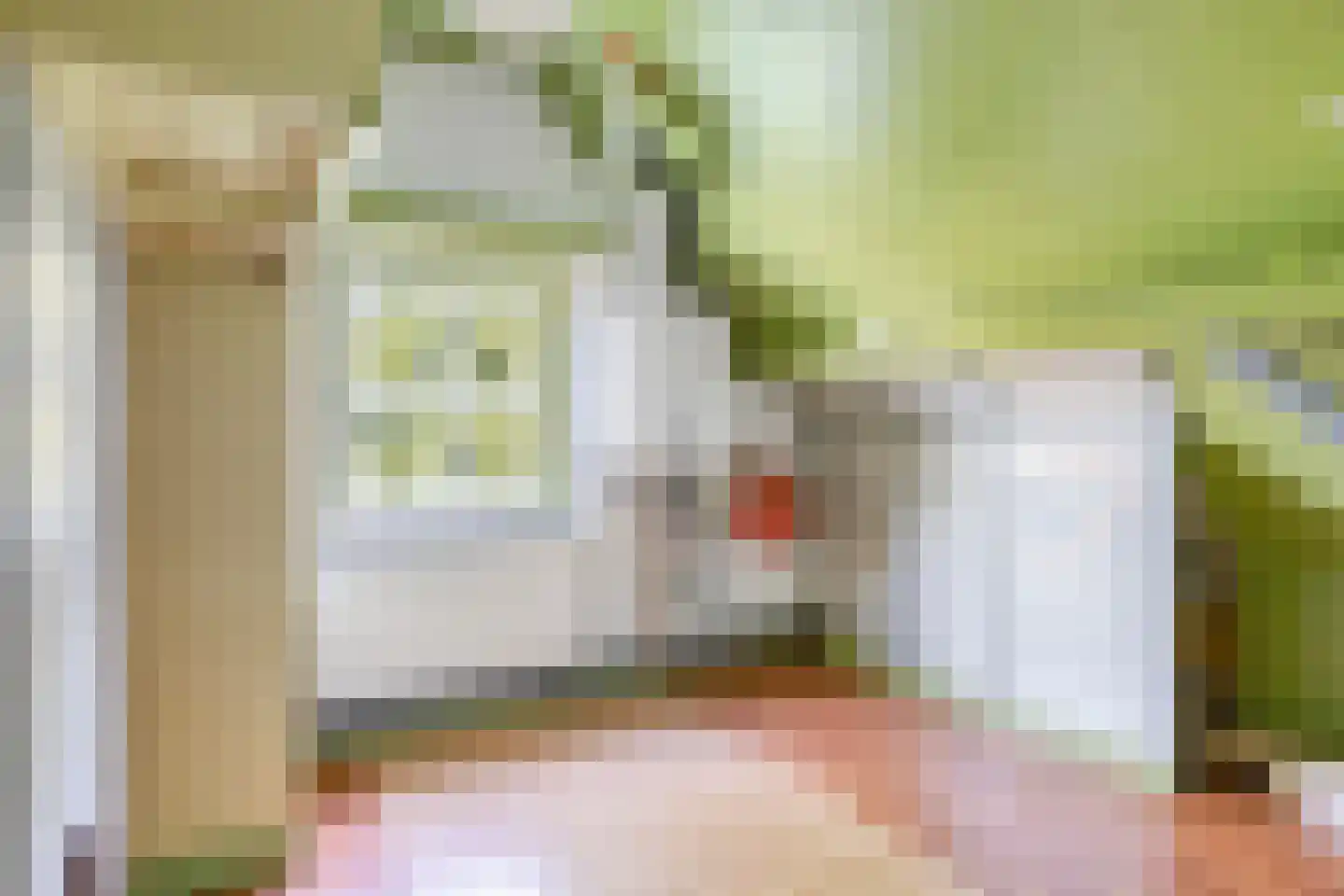 Kerkstraat 14 a Beek en Donk thumbnail 30