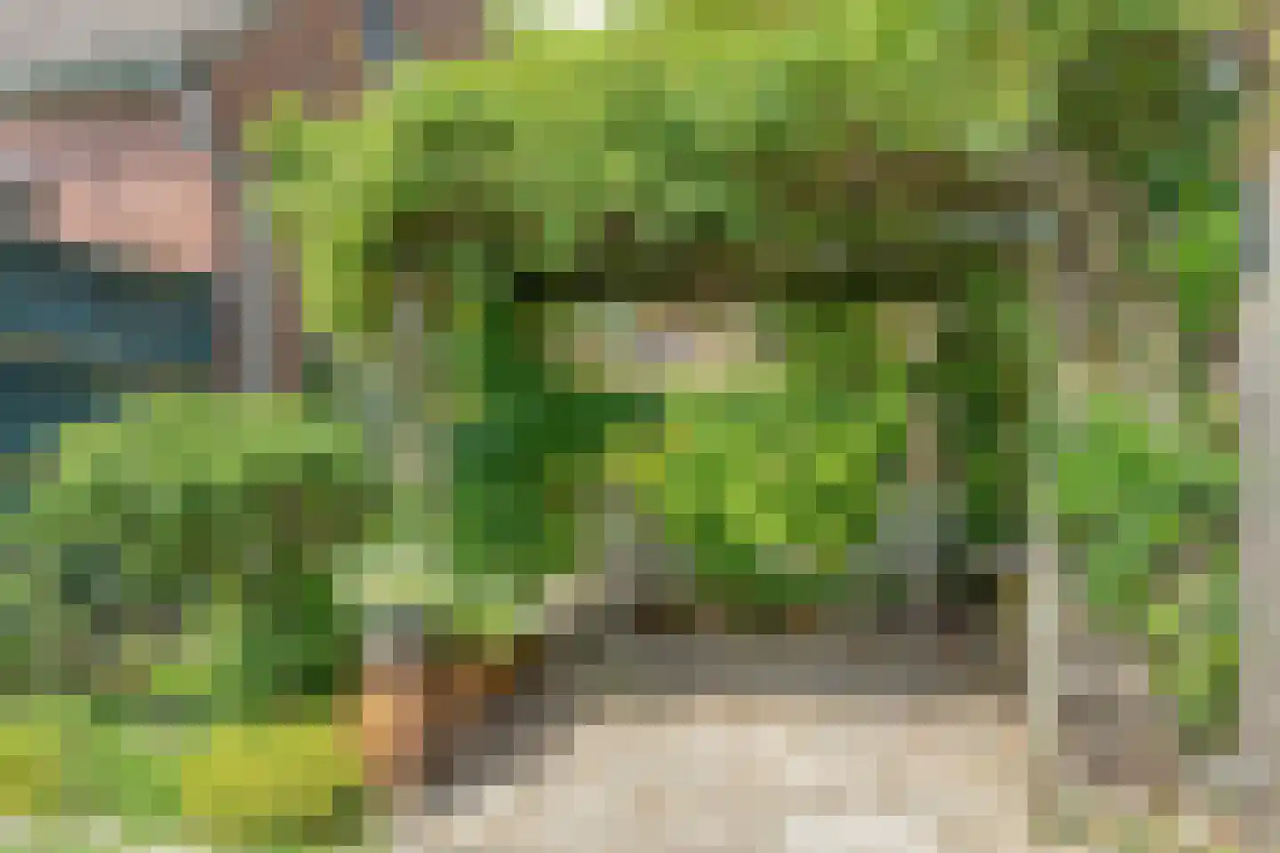 Kerkstraat 14 a Beek en Donk thumbnail 36