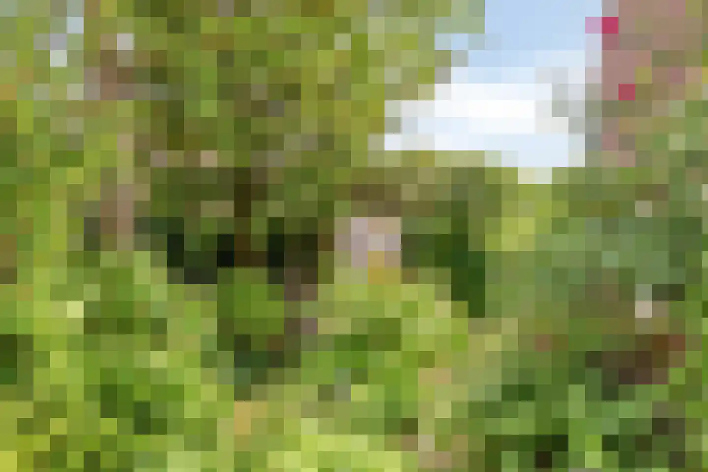 Kerkstraat 14 a Beek en Donk thumbnail 38