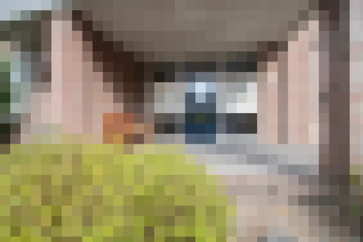 Kerkstraat 14 a Roggel thumbnail 5