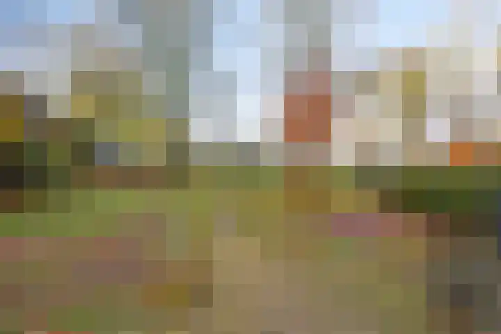 Kerkstraat 14 a Someren thumbnail 24