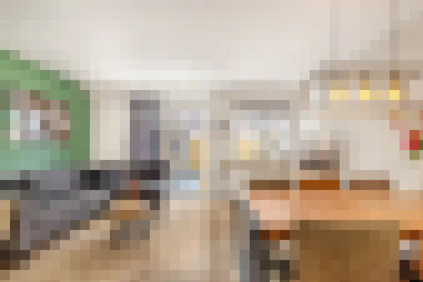Kerkstraat 14 Alkmaar thumbnail 15