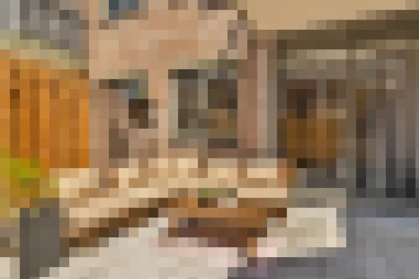 Kerkstraat 14 Alkmaar thumbnail 25