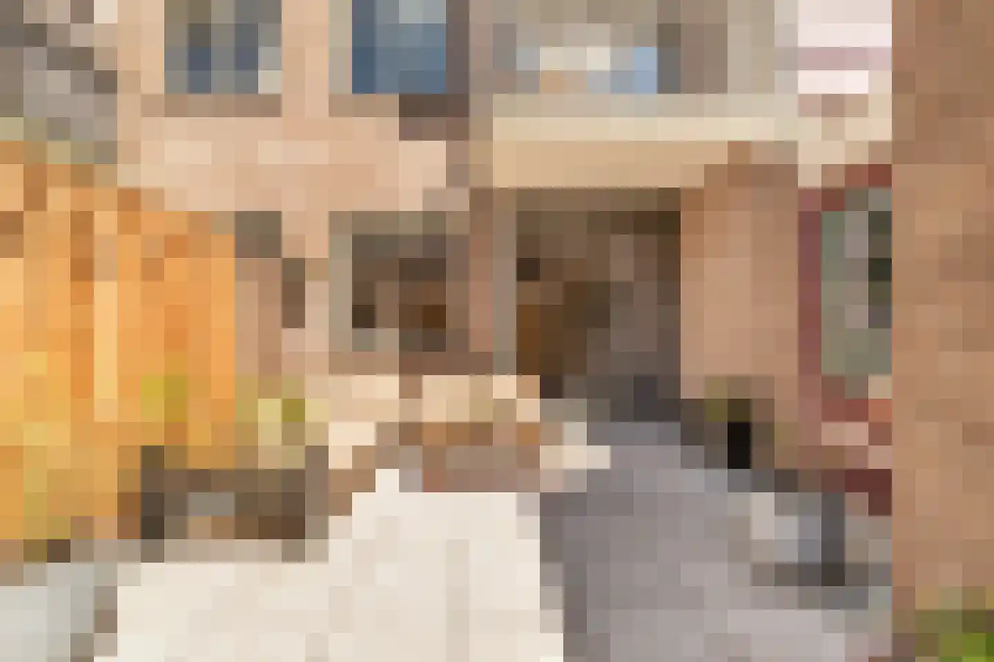 Kerkstraat 14 Alkmaar thumbnail 26