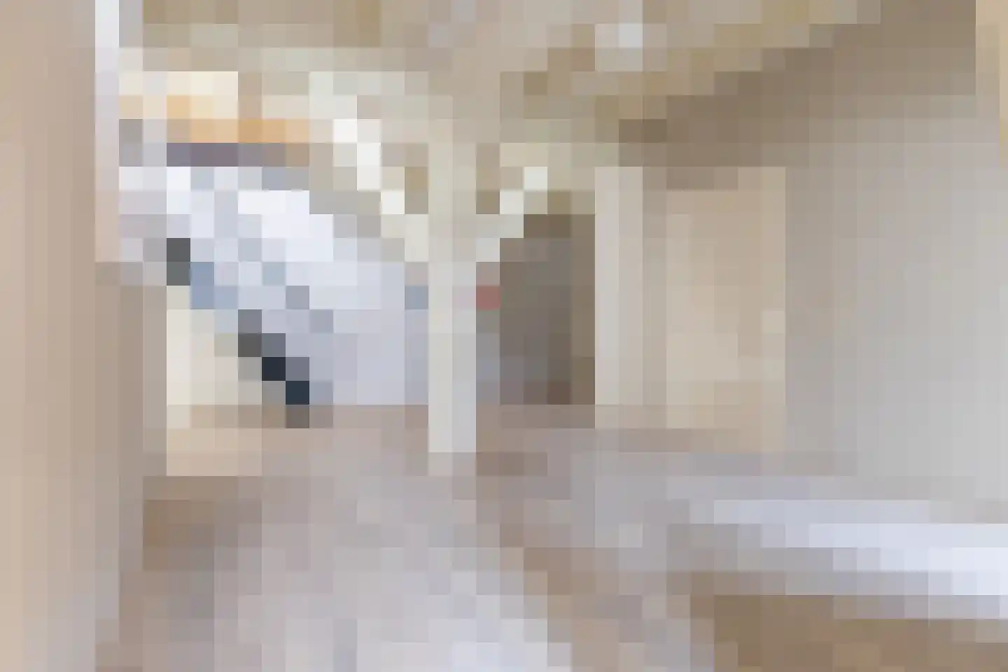 Kerkstraat 14 b Klaaswaal thumbnail 11