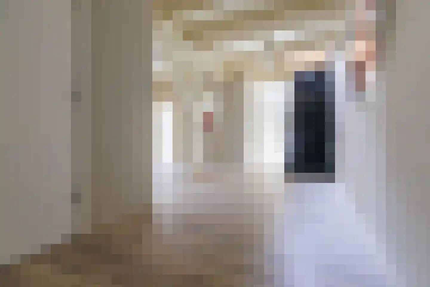Kerkstraat 14 b Klaaswaal thumbnail 13
