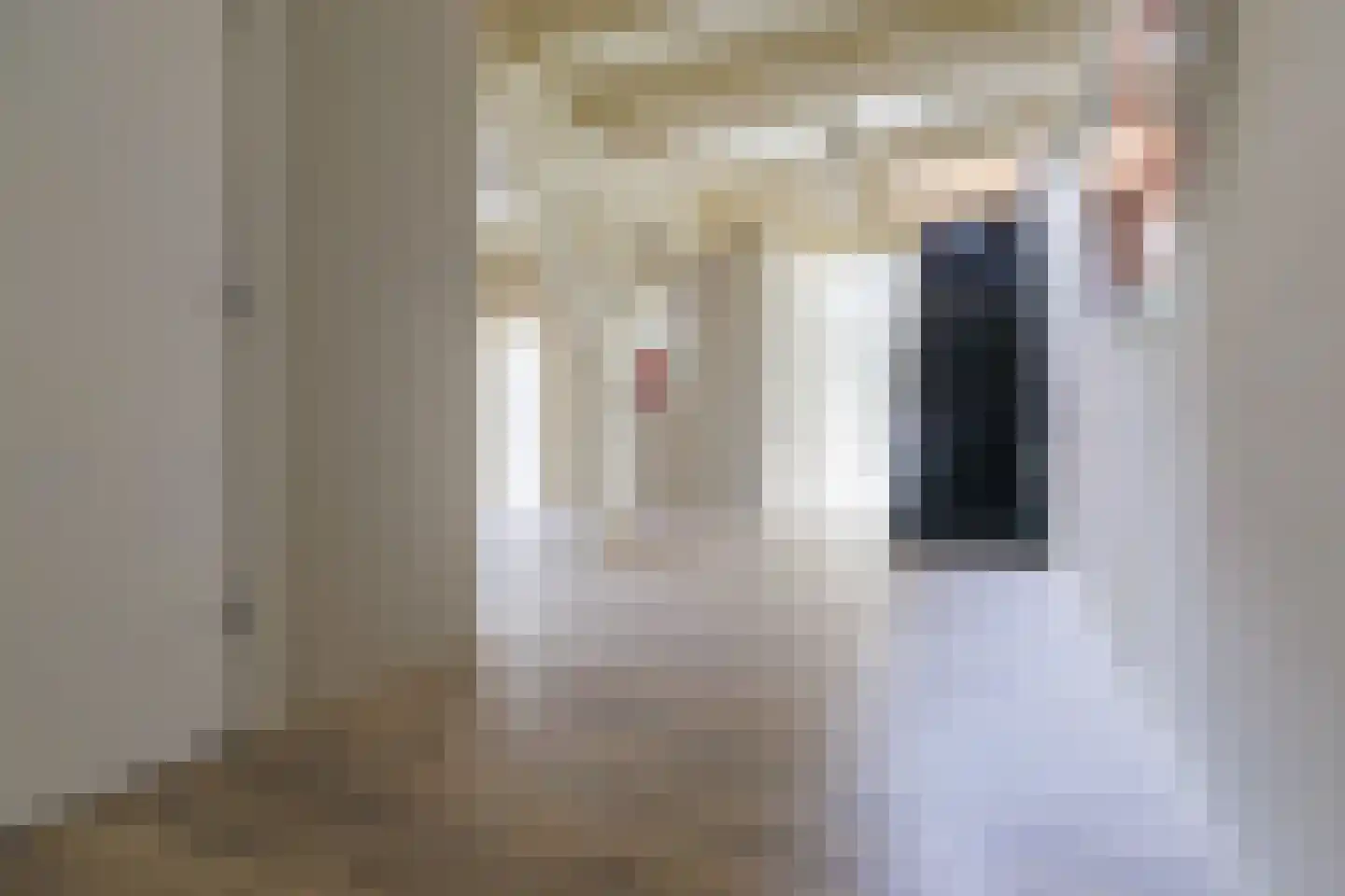 Kerkstraat 14 b Klaaswaal thumbnail 13