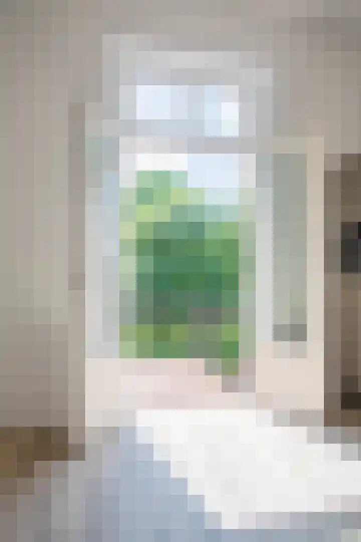 Kerkstraat 14 b Someren thumbnail 25