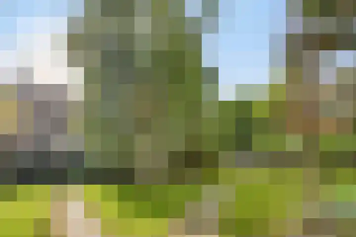 Kerkstraat 14 b Someren thumbnail 31