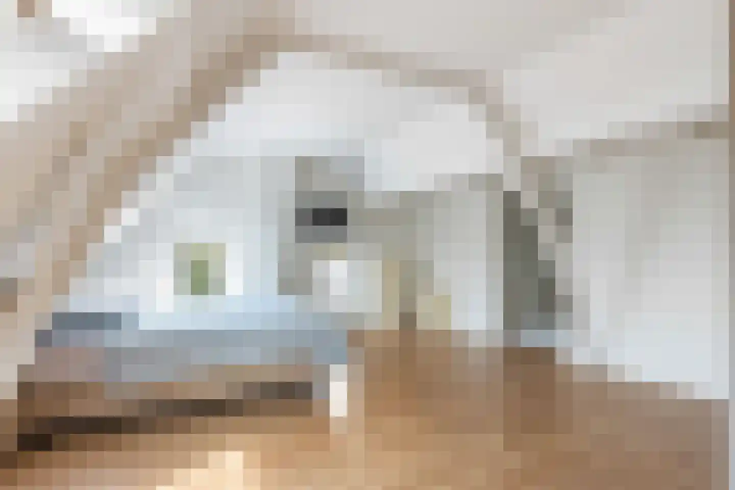 Kerkstraat 14 Beesd thumbnail 26
