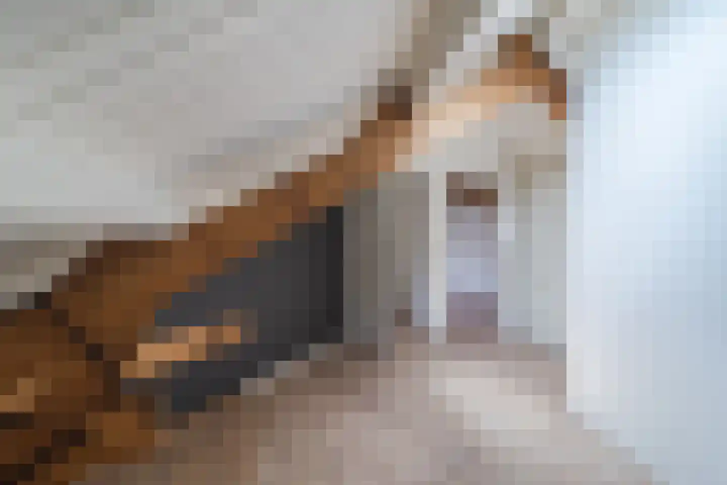 Kerkstraat 14 Boskoop thumbnail 19