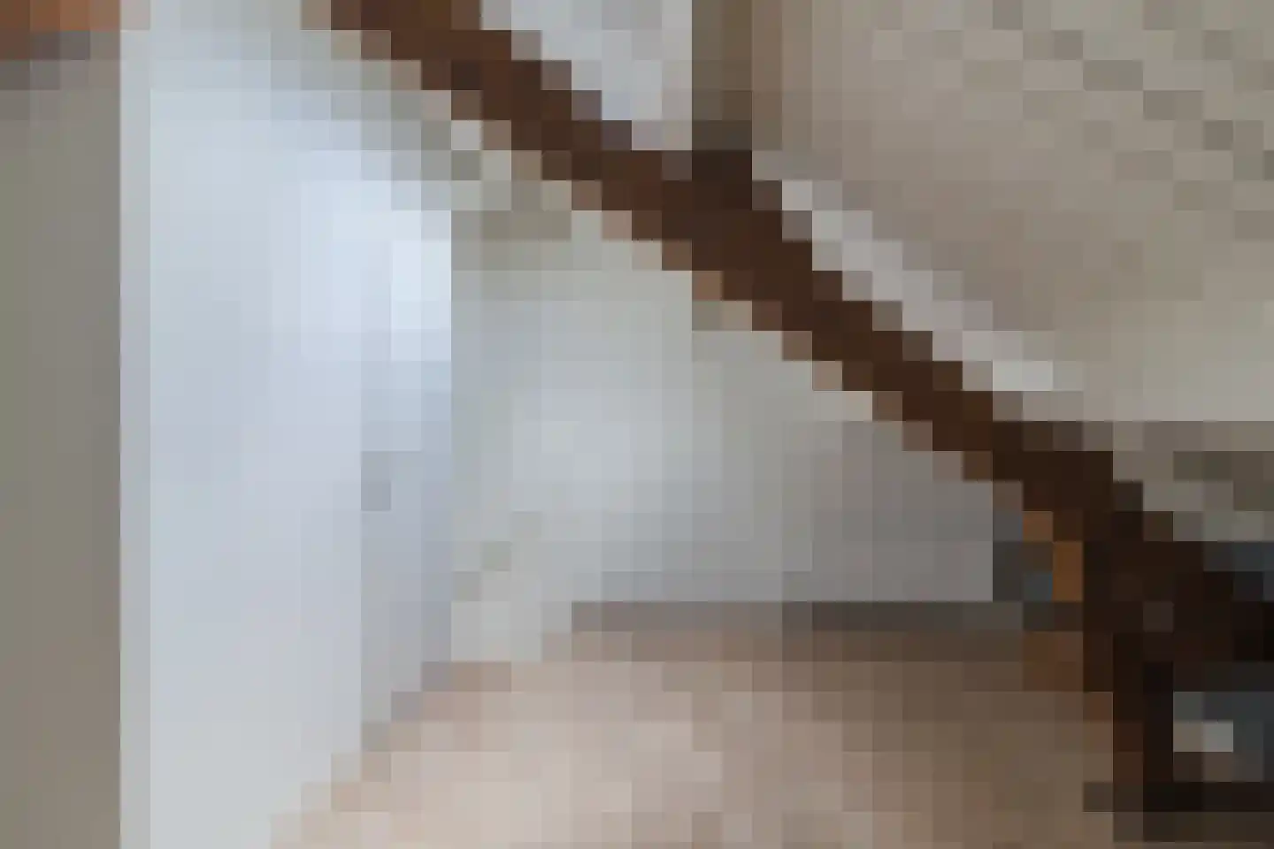 Kerkstraat 14 Boskoop thumbnail 21