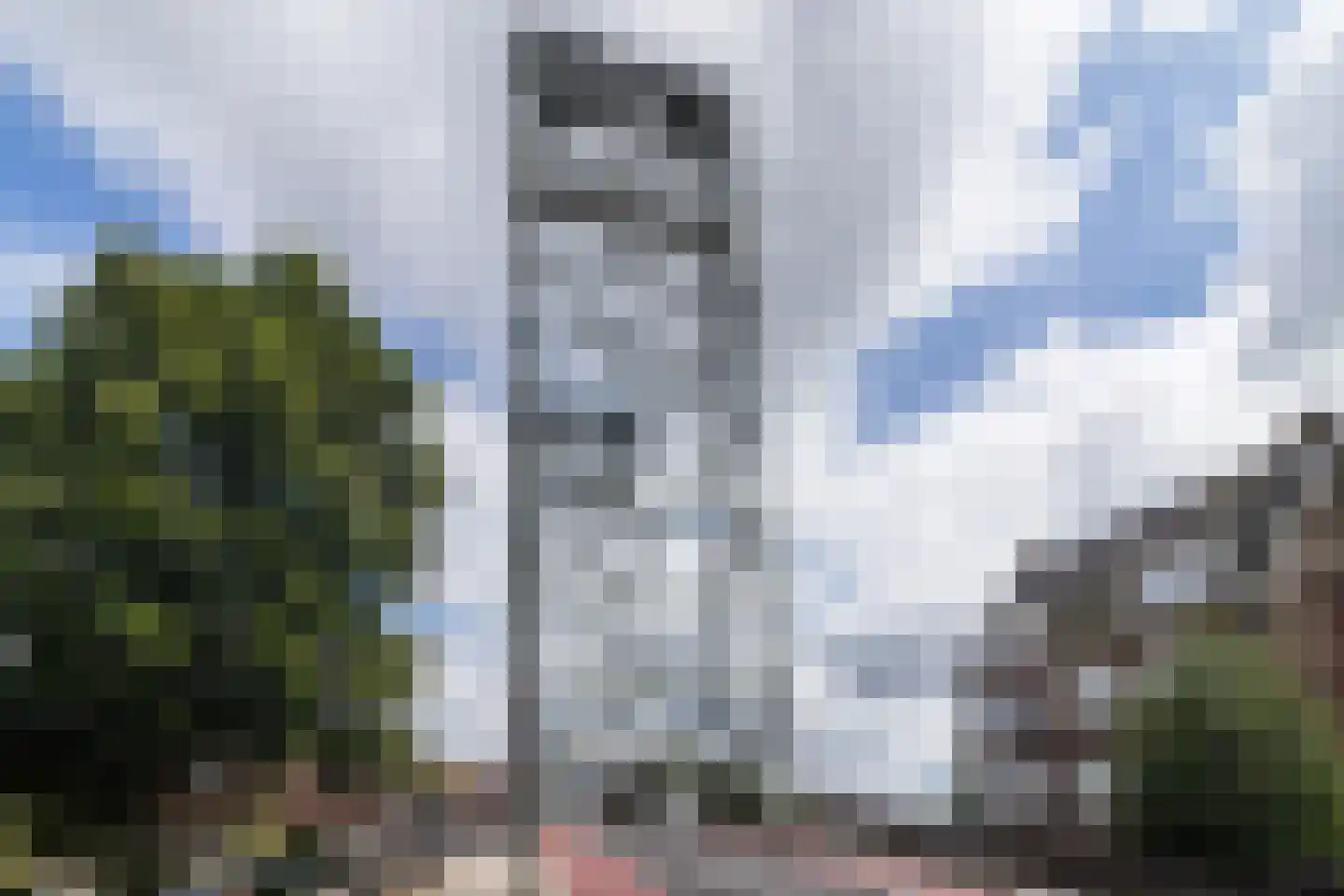 Kerkstraat 14 Boskoop thumbnail 37