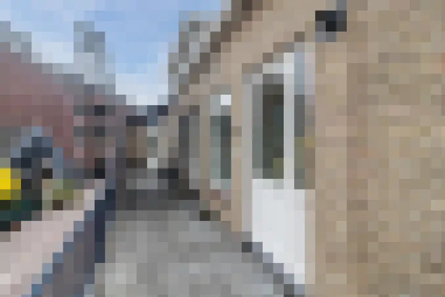 Kerkstraat 14 Boskoop thumbnail 4