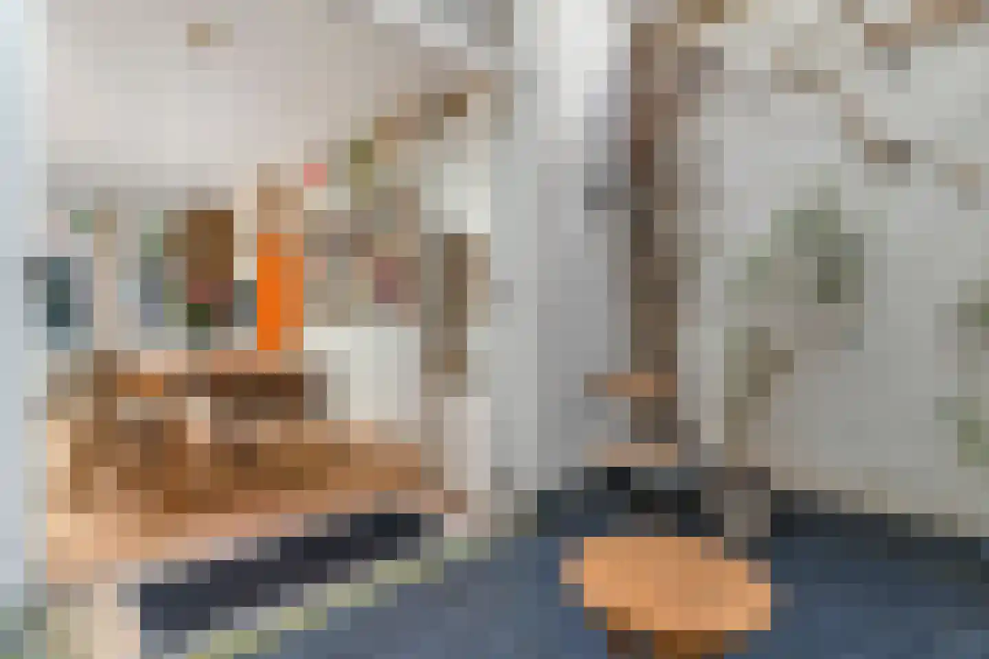 Kerkstraat 14 Den Haag thumbnail 16