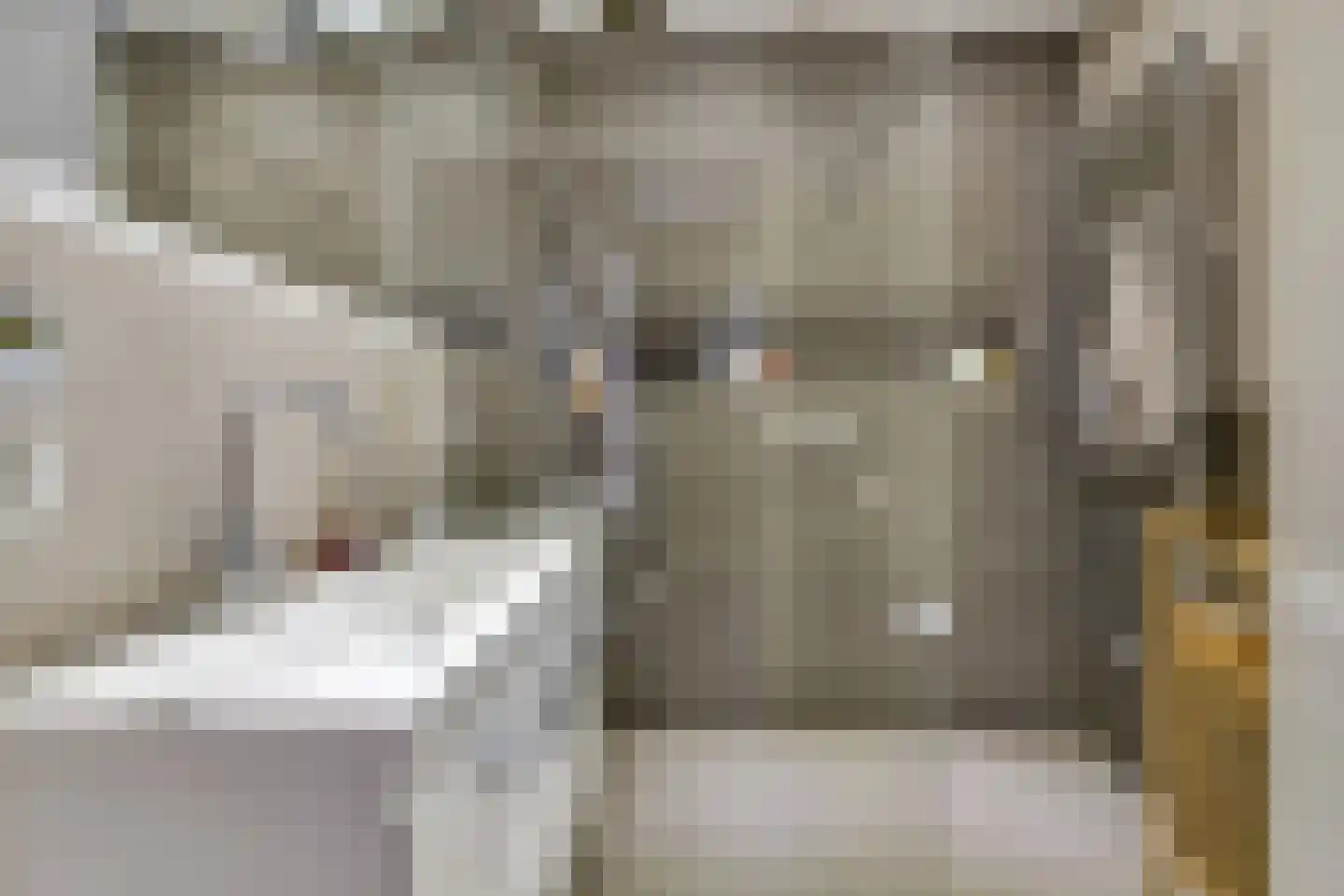 Kerkstraat 14 Den Haag thumbnail 4