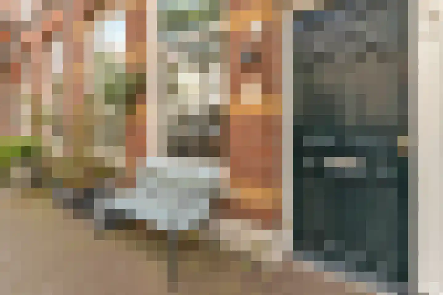 Kerkstraat 14 Den Haag thumbnail 7