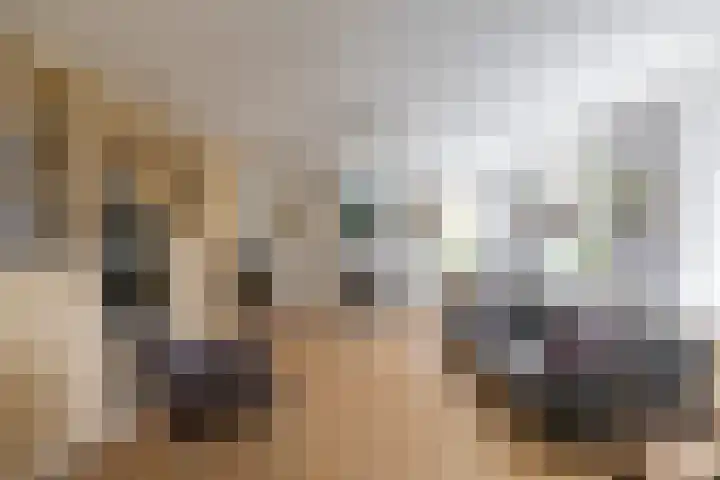 Kerkstraat 14 Eext thumbnail 25