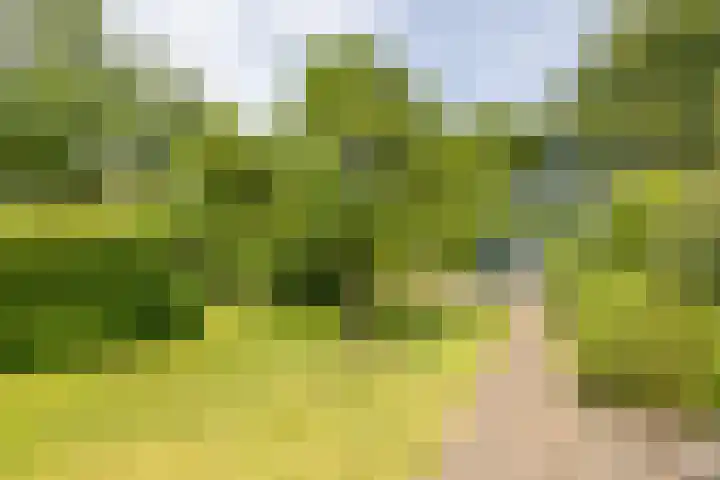 Kerkstraat 14 Eext thumbnail 4
