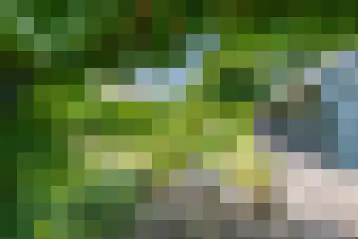Kerkstraat 14 Eext thumbnail 47