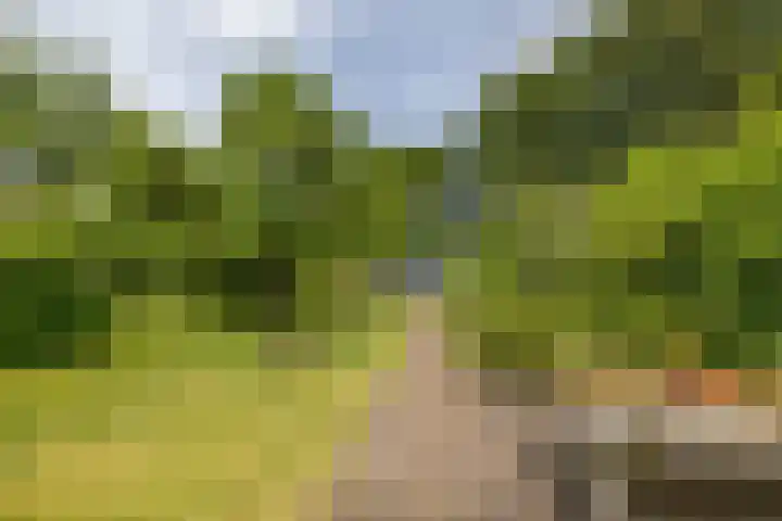 Kerkstraat 14 Eext thumbnail 49