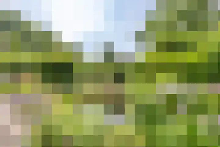 Kerkstraat 14 Eext thumbnail 50