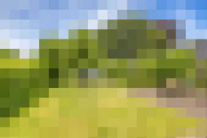 Kerkstraat 14 Eext thumbnail 51