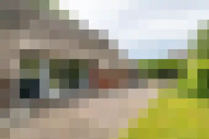 Kerkstraat 14 Eext thumbnail 52