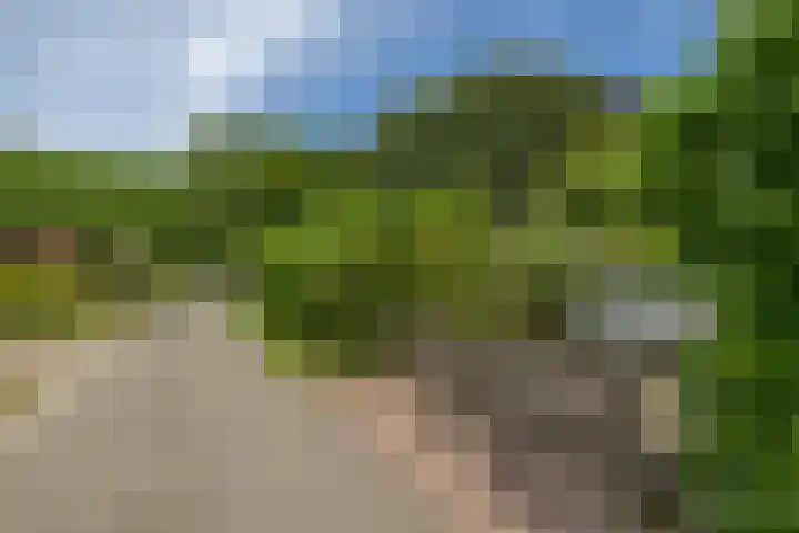 Kerkstraat 14 Eext thumbnail 54