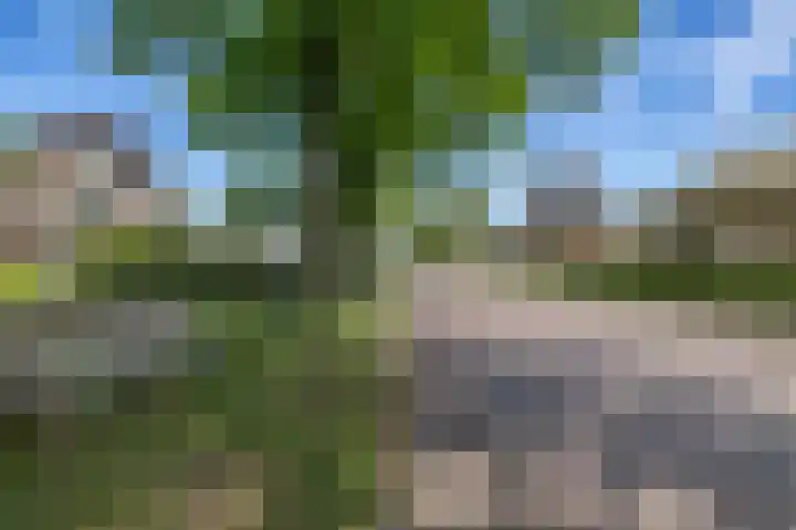 Kerkstraat 14 Eext thumbnail 55