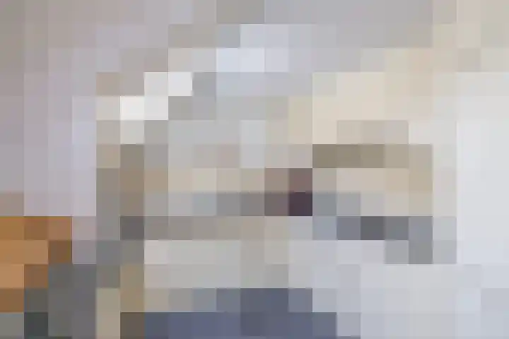Kerkstraat 14 Eext thumbnail 7
