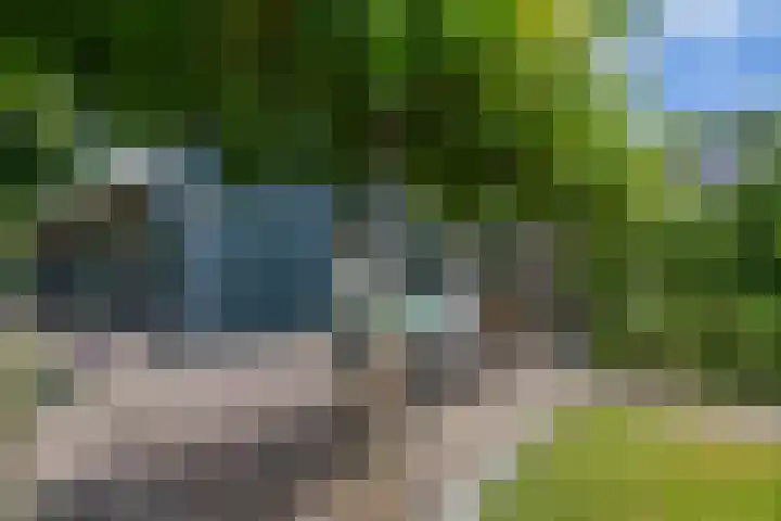Kerkstraat 14 Eext thumbnail 8