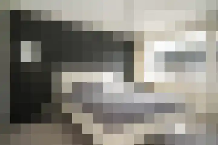 Kerkstraat 14 Hei- en Boeicop thumbnail 4