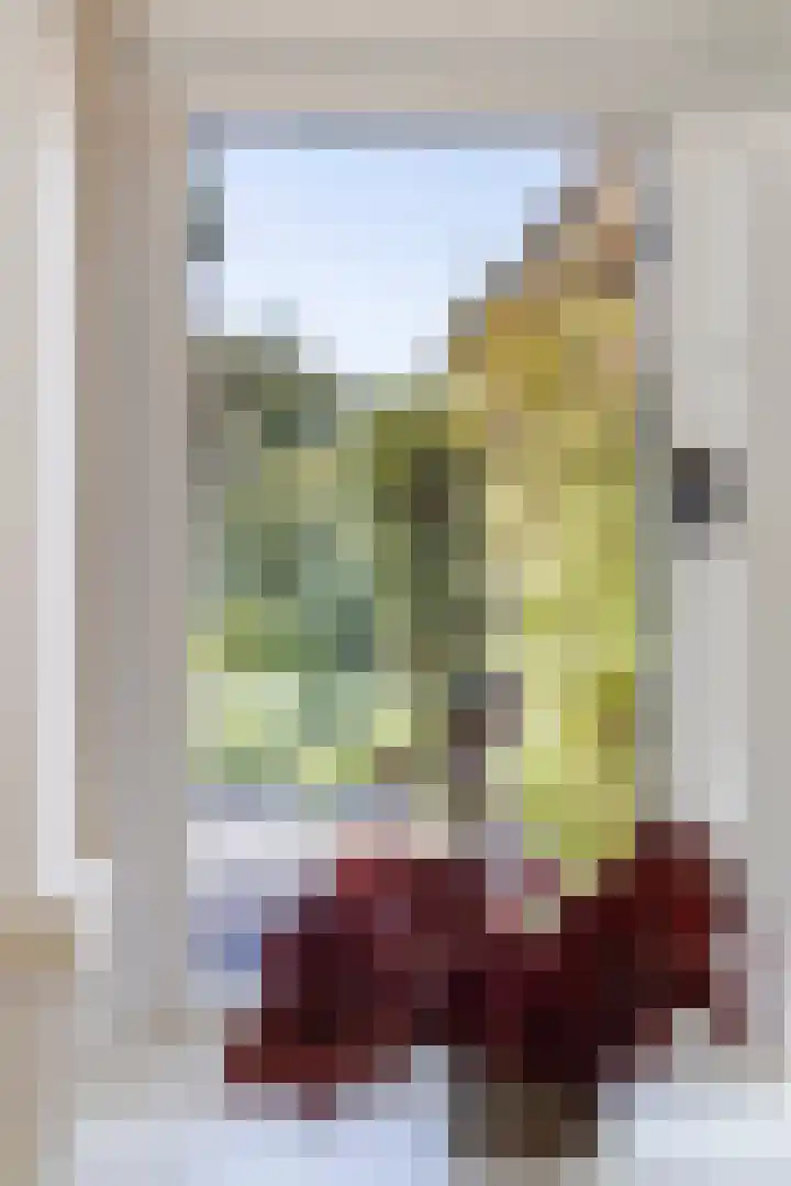 Kerkstraat 14 Niehove thumbnail 18