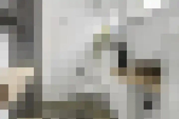 Kerkstraat 14 Niehove thumbnail 29