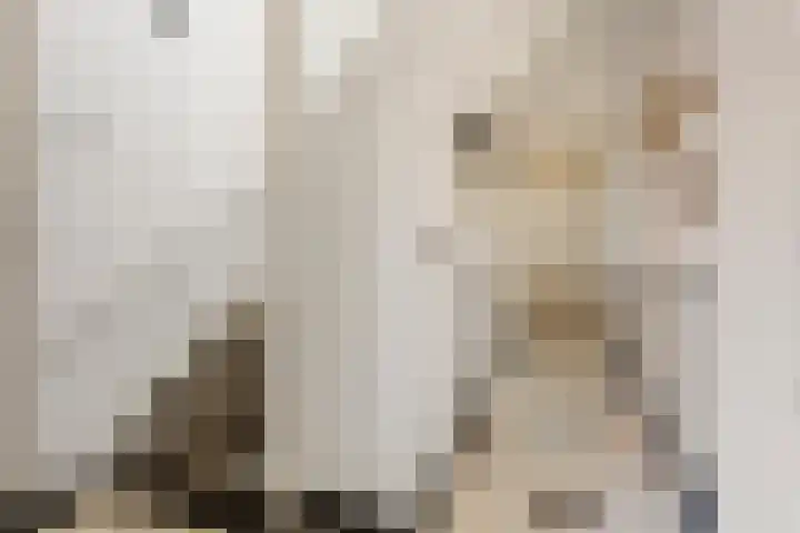 Kerkstraat 14 Niehove thumbnail 31