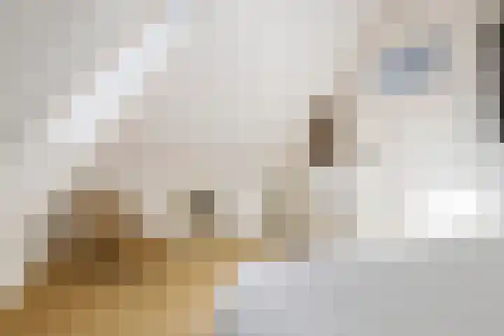 Kerkstraat 14 Niehove thumbnail 37