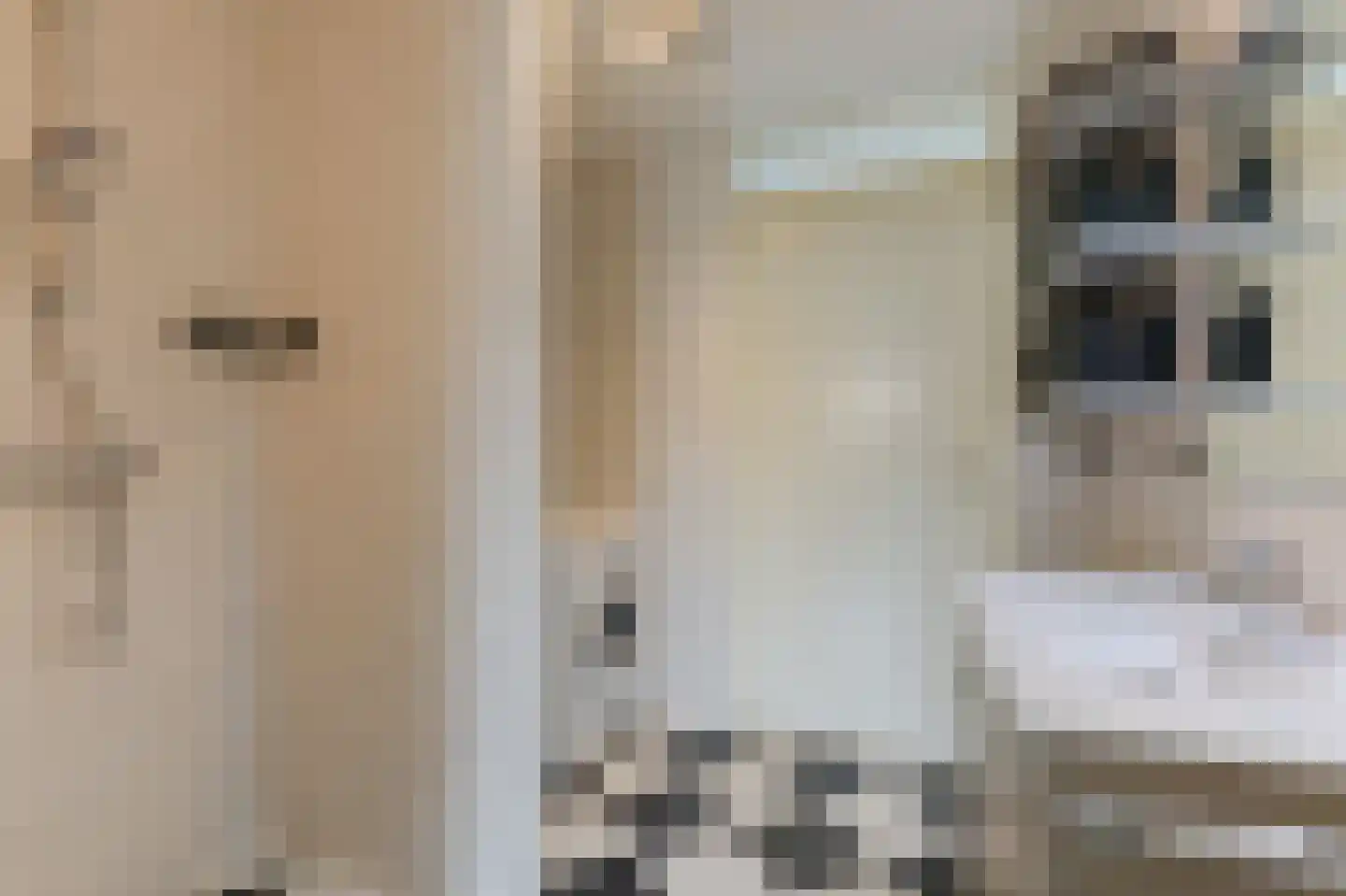 Kerkstraat 14 Spijk thumbnail 31