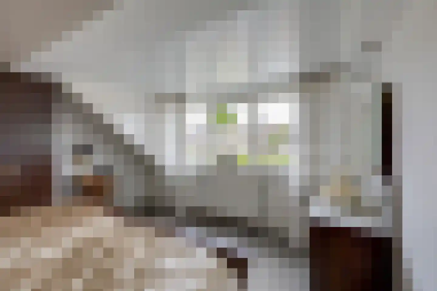 Kerkstraat 14 Spijk thumbnail 46
