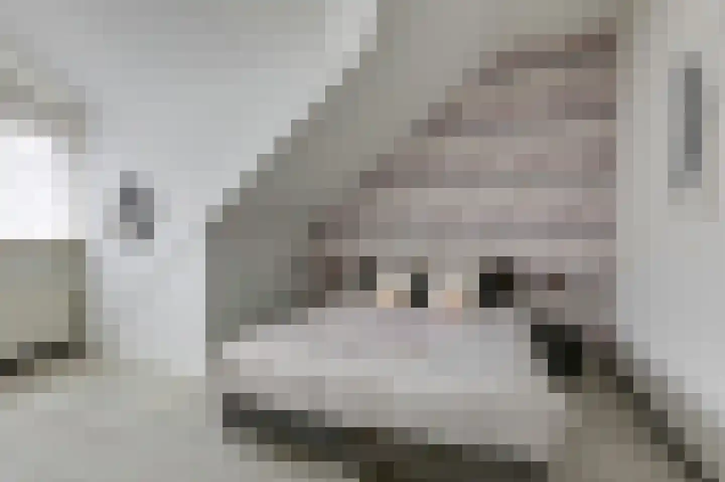 Kerkstraat 14 Spijk thumbnail 47