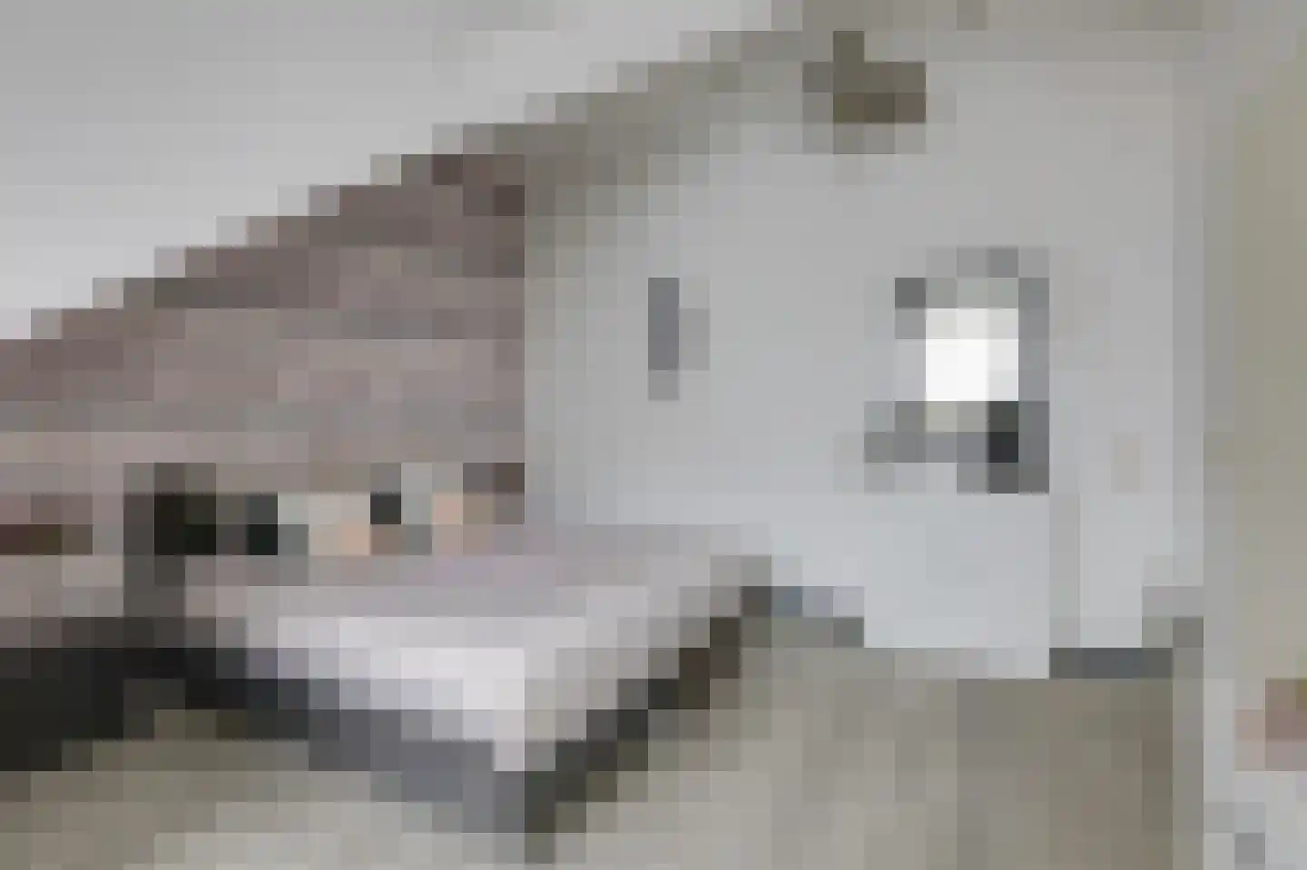Kerkstraat 14 Spijk thumbnail 49